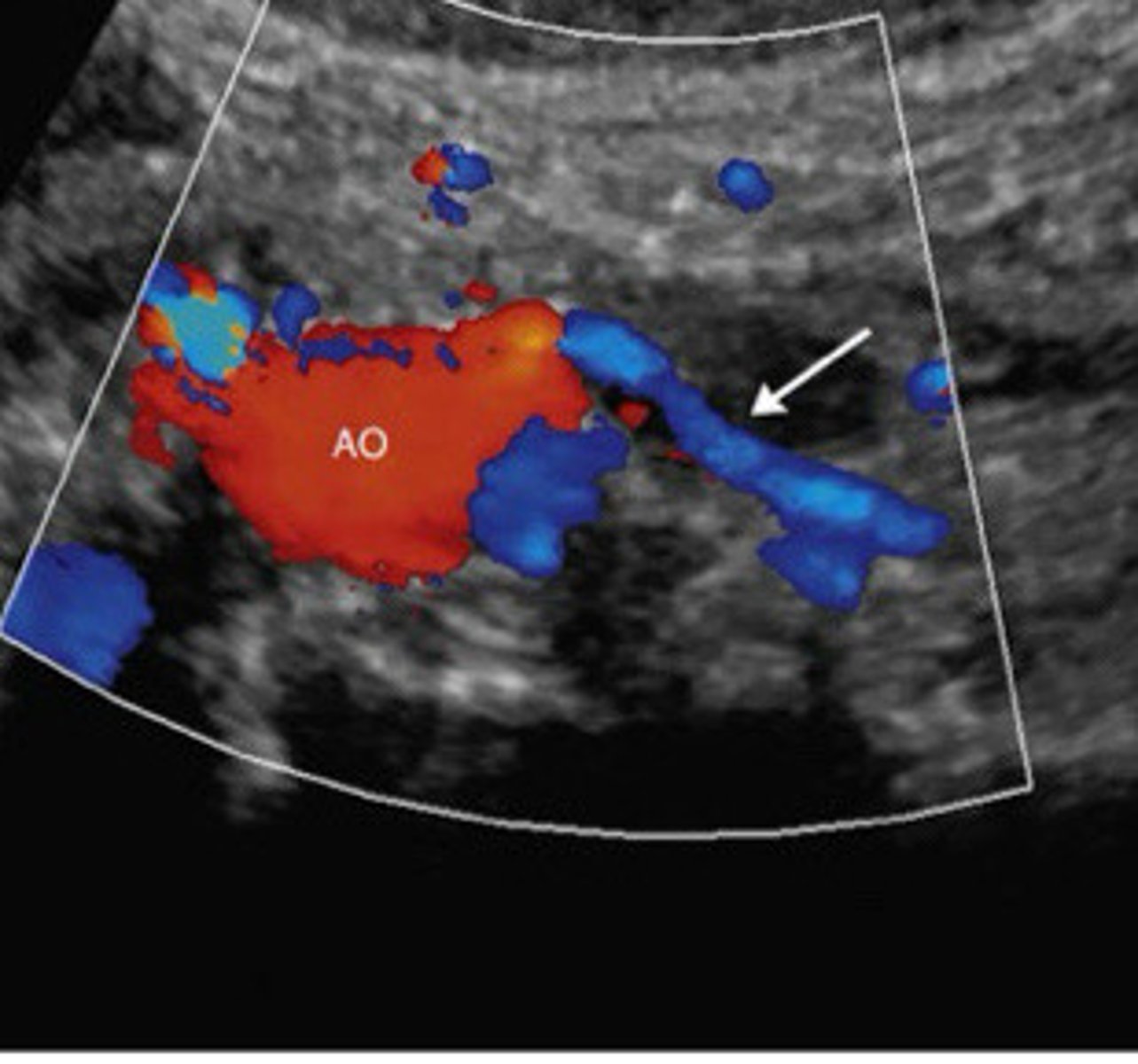 <p>What does this image show</p>