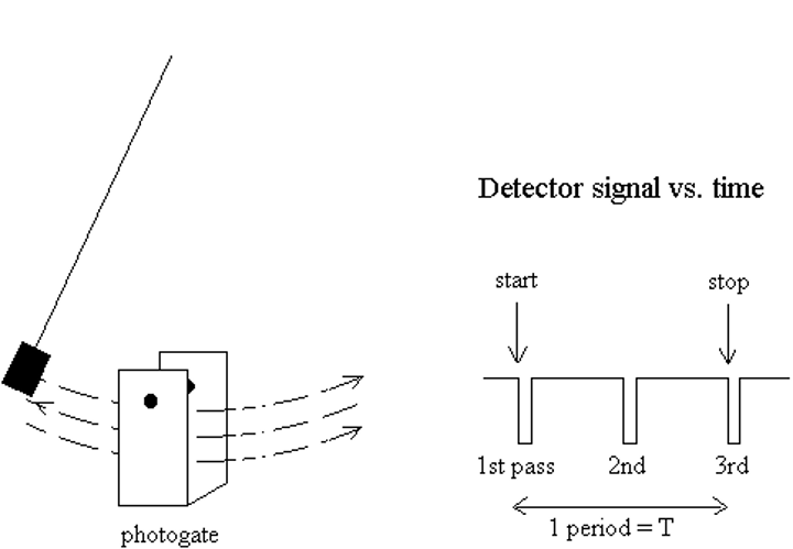 <p>The best way to measure the period to use a <b>"photogate"</b> detector, such as the one we used in the simulation of a pendulum. When the oscillator passes through its beam of light once, the clock turns on. When the oscillator comes back the 3rd time, the clock turns off. The 2nd pass is only half the period (see figure).<br><br>If you have to measure the period with a <b>stopwatch</b> or <b>digital timer</b>, starting and stopping the clock for one period may give a very imprecise measurement. Instead, measure the time to make 10 oscillations (for example), and then divide the total time by 10. This approach minimizes <b>random uncertainties</b> and <b>reaction time errors</b>.</p>