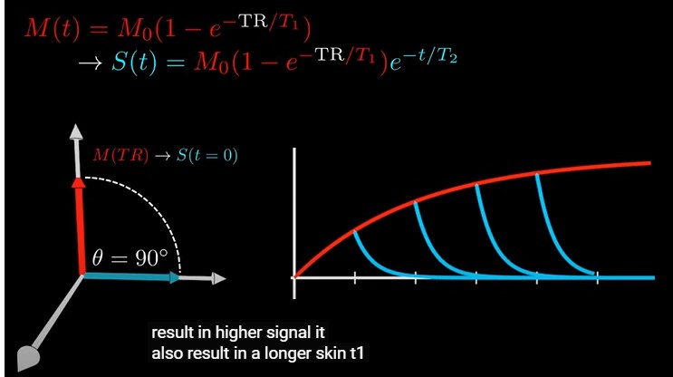 <p>the amount of time the scanner waits in between excitations</p><p>longer TR → higher signal → longer scan</p><p>if TR is short, very little longitudinal signal is recovered → excited transverse magnetisation will be smaller</p><p>length of TR dictates the amount of signal each tissue begins its T2 decay with</p>