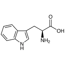 * abbreviations: Trp, W
* class: neutral & hydrophobic 
* dipolar ion at neutral pH


* aromatic