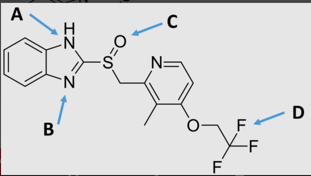 <p>which location is acidic?</p>