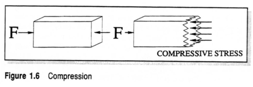 <p>act to squeeze or compress objects </p><ul><li><p>compressive stresses also occur parallel to the lines of force and perpendicular to the cross-sectional area</p></li></ul><p></p>
