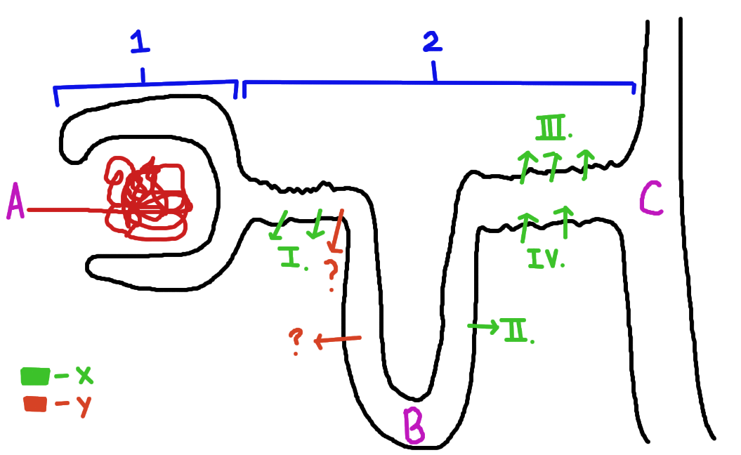 <p>Identify the fluid B</p>