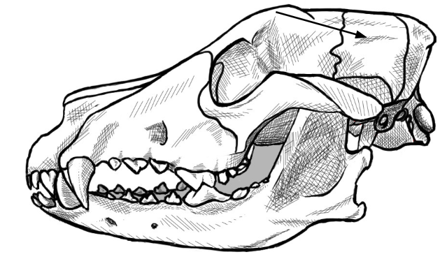 <p>what is this arrow pointing to </p>