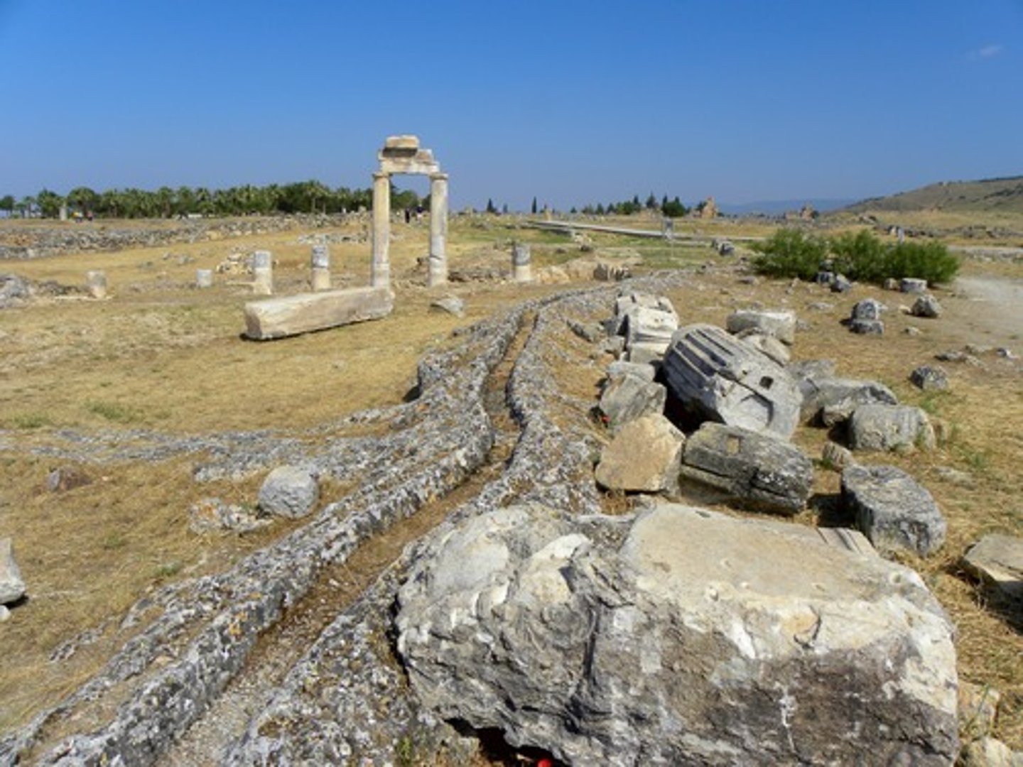 <p>region of western Asia Minor colonized by Ancient Greeks</p>