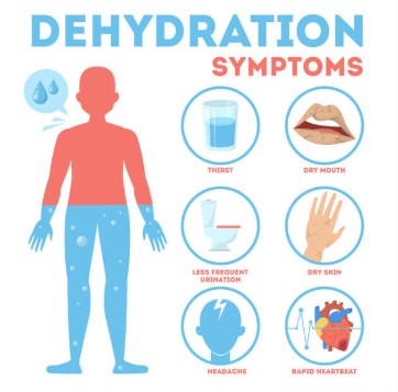 <p>usually due to net loss of water through waste &amp; high levels of salt</p><p>Symptoms: reduced cognition, lack of thermoregulation, exhaustion, reduced muscle power, headaches, nausea</p>