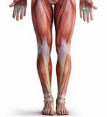 <p>Away from the head or toward the lower part of a structure.</p>