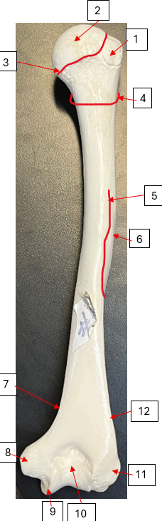 <p>2 + F</p>