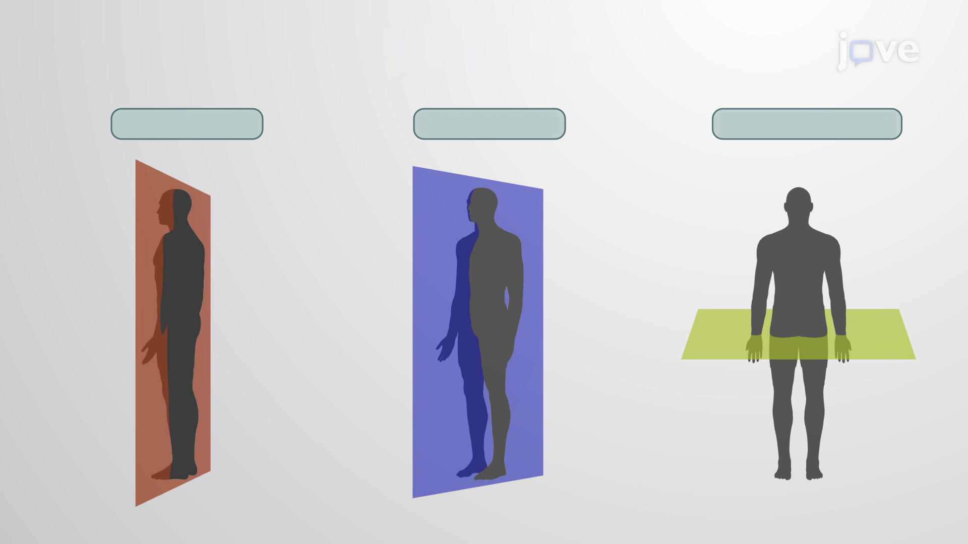 <p>What are the different planes? (left to right)</p>
