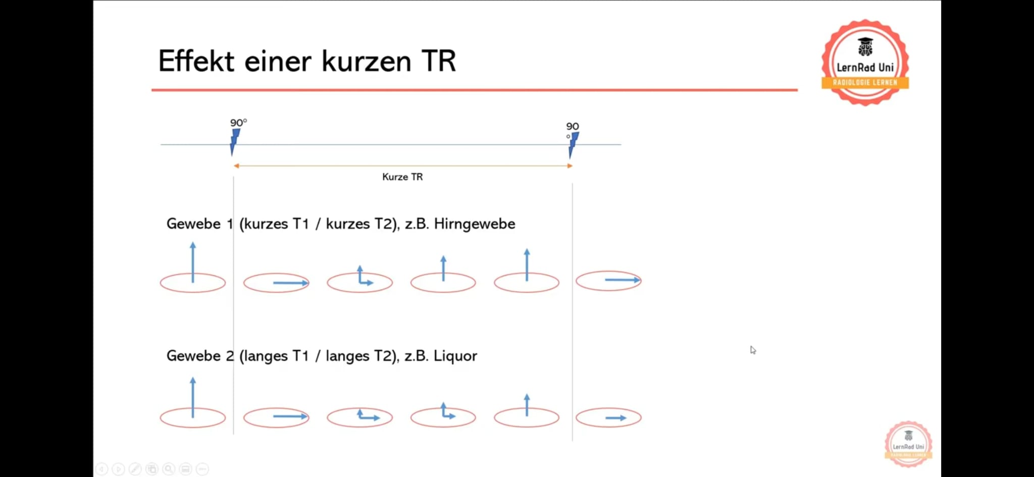 <p>Was ist das Konzept von T1-gewichteten Bildern?</p>