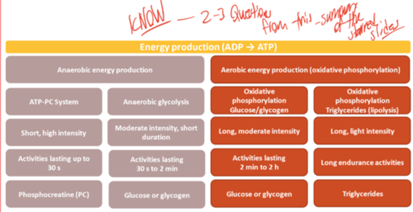 <p>Aerobic</p><p>Mitochondria</p><p>Fats (1st), Carbs (2nd), Protein (3rd)</p><p>2min to 2 hours</p><p>Long Endurance activities</p>