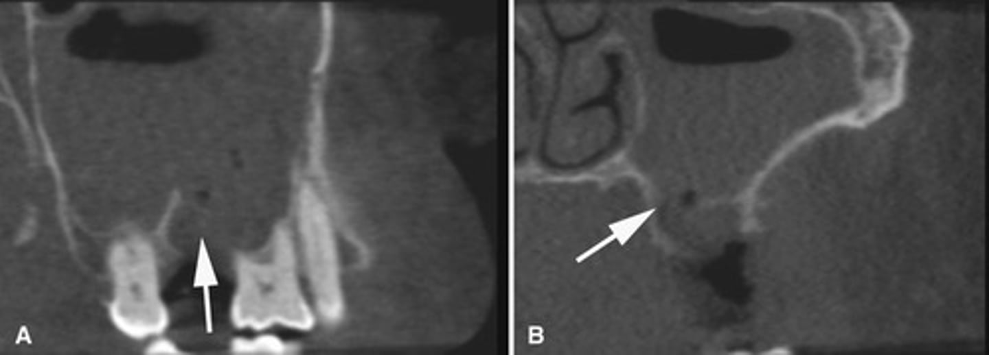 <p>What does this image show?</p>