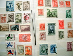 <p>the postage stamp</p>