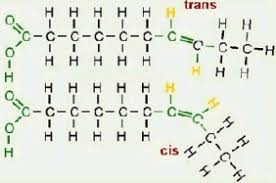 <p>Hydrogen atoms are on opposite sides of the the two double bonded C</p>