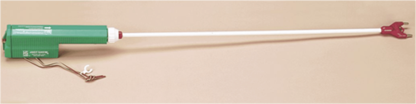 <p>To make livestock move into chutes or alleyways</p>