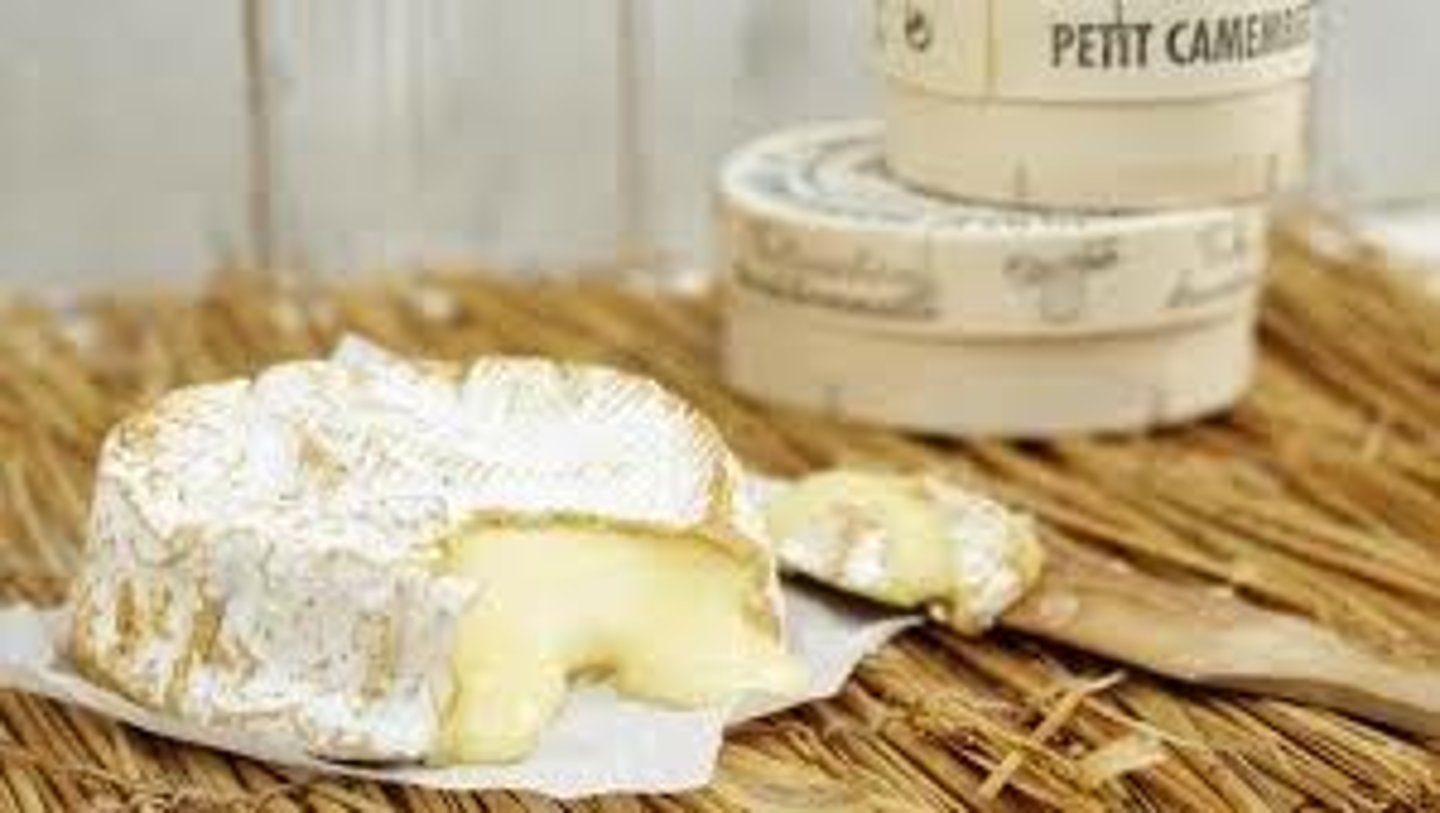 <p>camembert cheese</p>