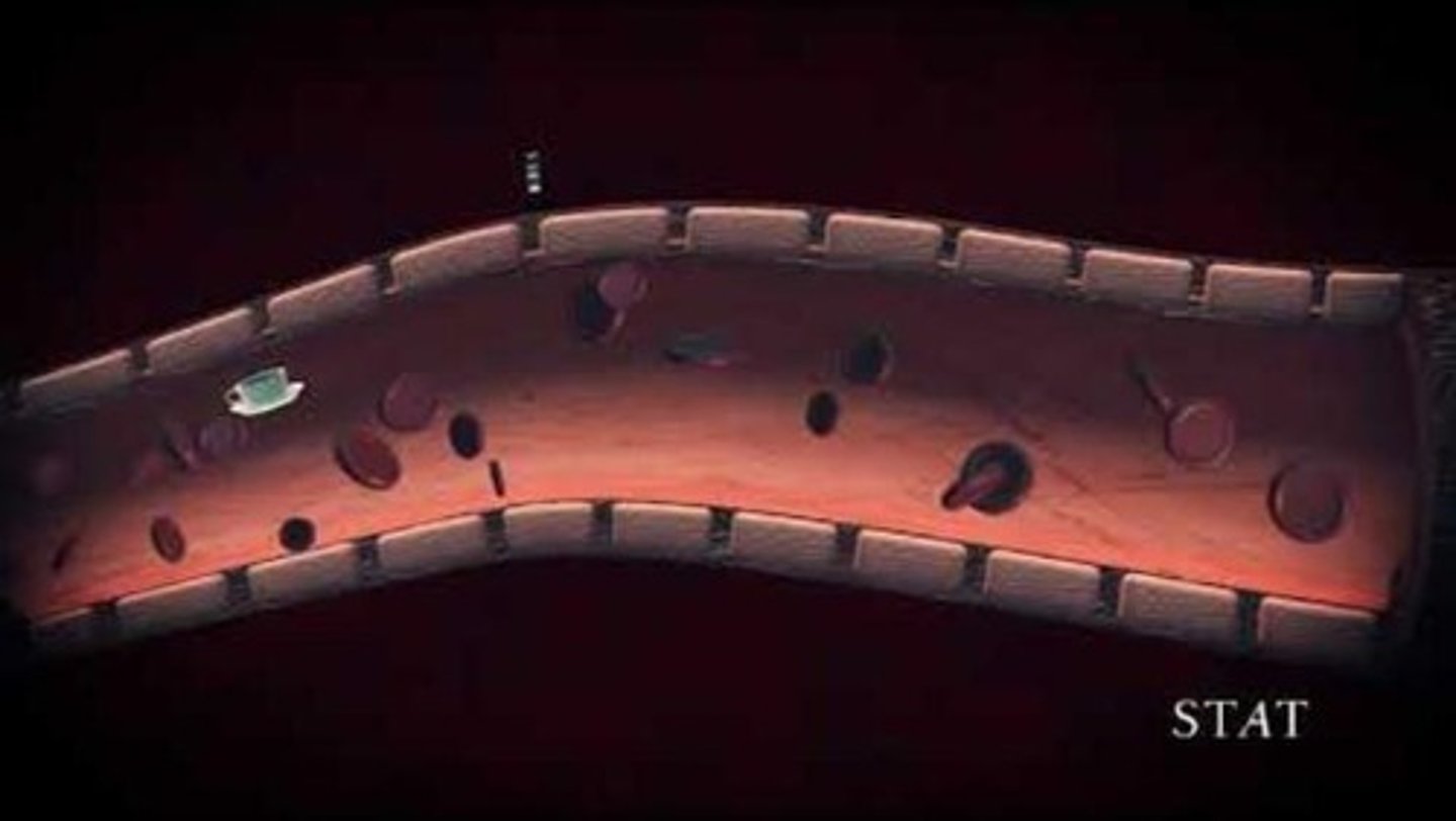 <p>A selective barrier that protects the brain from harmful substances while allowing essential nutrients to pass.</p><p><strong>Prevents</strong>: large molecules (Albumin)</p><p><strong>Allows</strong>: Oxygen, Glucose, CO2, ETOH, Anesthetics, and Water</p>