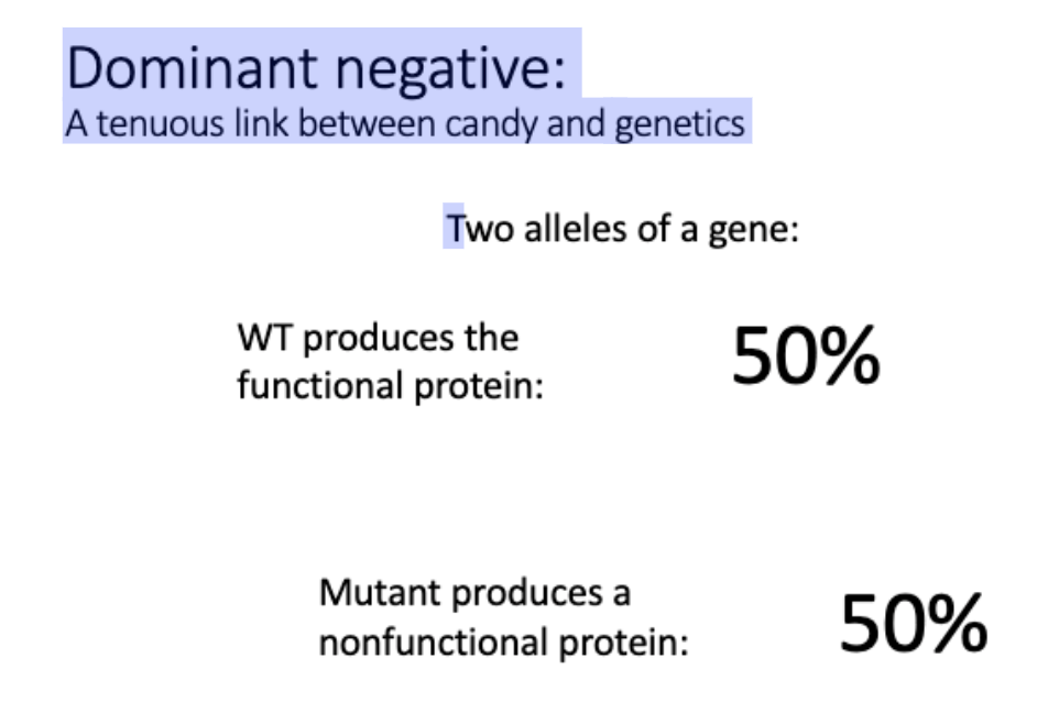 <p>L#18: apoptosis/programmed cell death</p><p>Explain how we know that many p53 mutations are dominant negative.</p>