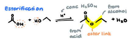 <p>carboxylic acid + alcohol → ester + water</p><ul><li><p>conditions: conc. H2SO4</p></li><li><p>done in reflux (force vapour to condense back)</p></li><li><p>note position of ester link (especially in polyesters)</p></li></ul><p></p>