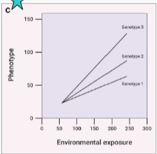 <p>type of gene-environment interactions and effects on health risk </p>