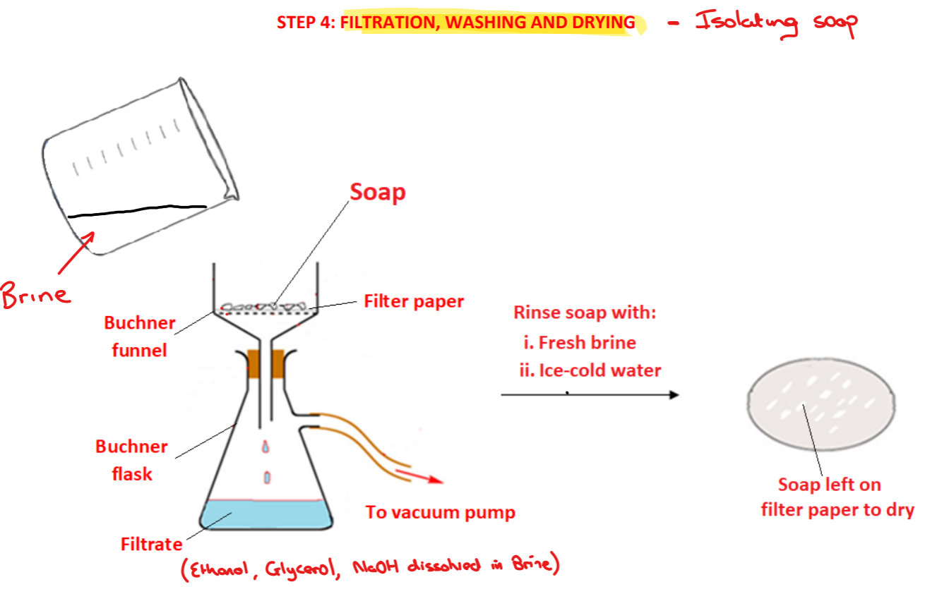 <p>➢ The <strong>soap</strong> is <strong>filtered using vacuum/suction filtration</strong> using filter paper, a Buchner funnel and a Buncher flask – the <strong>brine solution containing glycerol, ethanol and excess sodium hydroxide</strong> will pass through as the <strong>filtrate</strong></p><p>➢ The soap is <strong>washed with fresh brine followed by ice cold water</strong> to <strong>remove any sodium hydroxide</strong> that may be still present</p><p>➢ The soap is <strong>left to air dry on the filter paper </strong>in a warm place or placed in a desiccator</p>