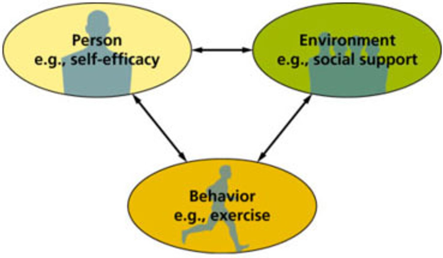 <p>- is the mental process of storing, retrieving, and using information about</p><p>others to make inferences, form expectations, and guide our own social behavior.</p>