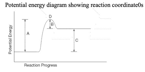 <p>25. For the above PE diagram, which letter represents the enthalpy change of the reaction?</p><table style="min-width: 25px"><colgroup><col style="min-width: 25px"></colgroup><tbody><tr><td colspan="1" rowspan="1"><p class="p1">a. A &nbsp; </p><p class="p1">b. B &nbsp;</p><p class="p1"> c. C &nbsp; </p><p class="p1">d. D</p></td></tr></tbody></table><p></p>