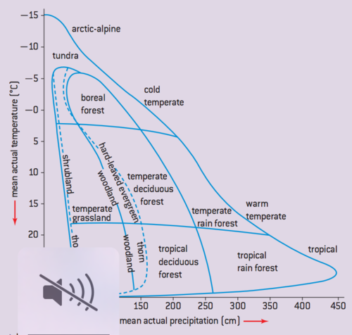 A graph showing the relationship between temperature, rainfall and ecosystem type