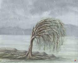 <p class="ds-markdown-paragraph">To suffer patiently or persist through difficulty.</p><p><br></p>