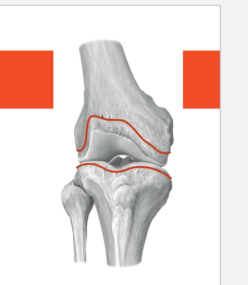 <p>The structure is the joint capsule of the the knee joint./ art. genus. It provides support and stability to the synovial joint. The knee joint capsule is loose and weak, the capsule of the knee joint encloses both parts of the joint</p>
