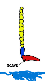 <p></p>