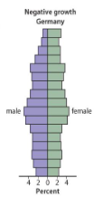 <p>the population is declining</p>