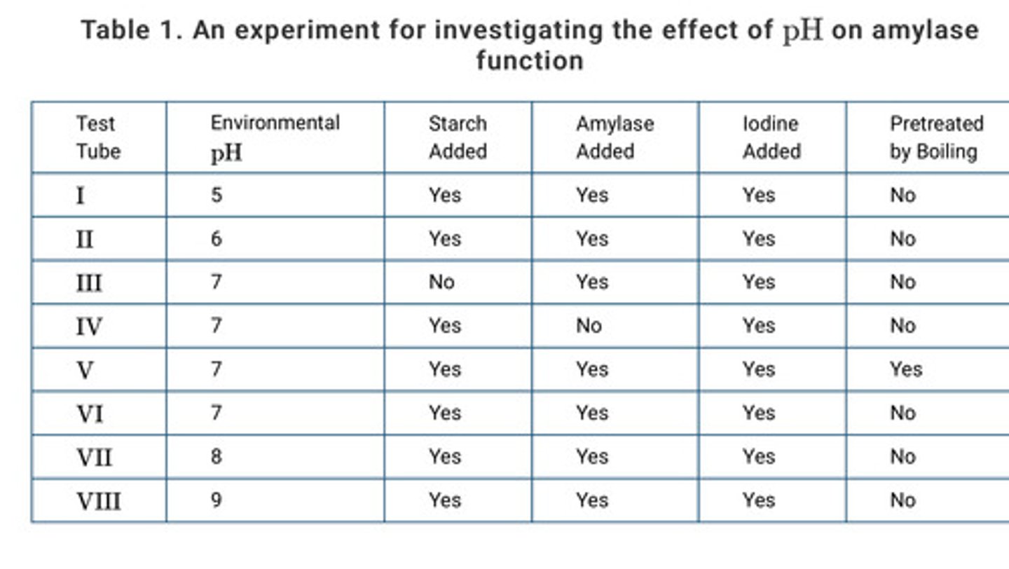 <p>It will show the color change that occurs in the absence of enzyme activity.</p>