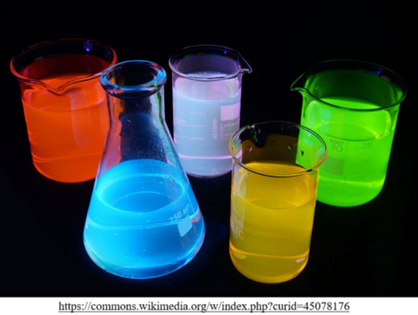 <p>fluorophores</p>