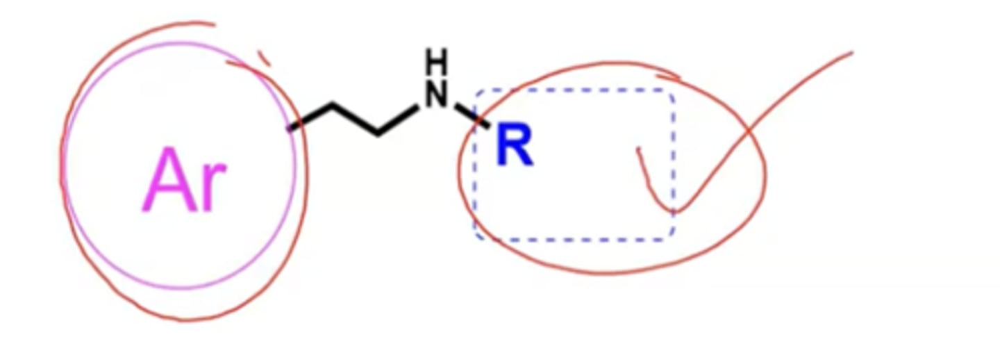 <p>bulky R groups</p>
