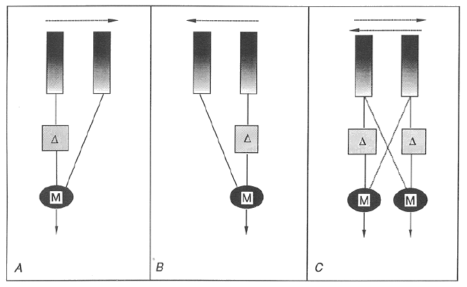 <p>Reinhardt Detector</p>