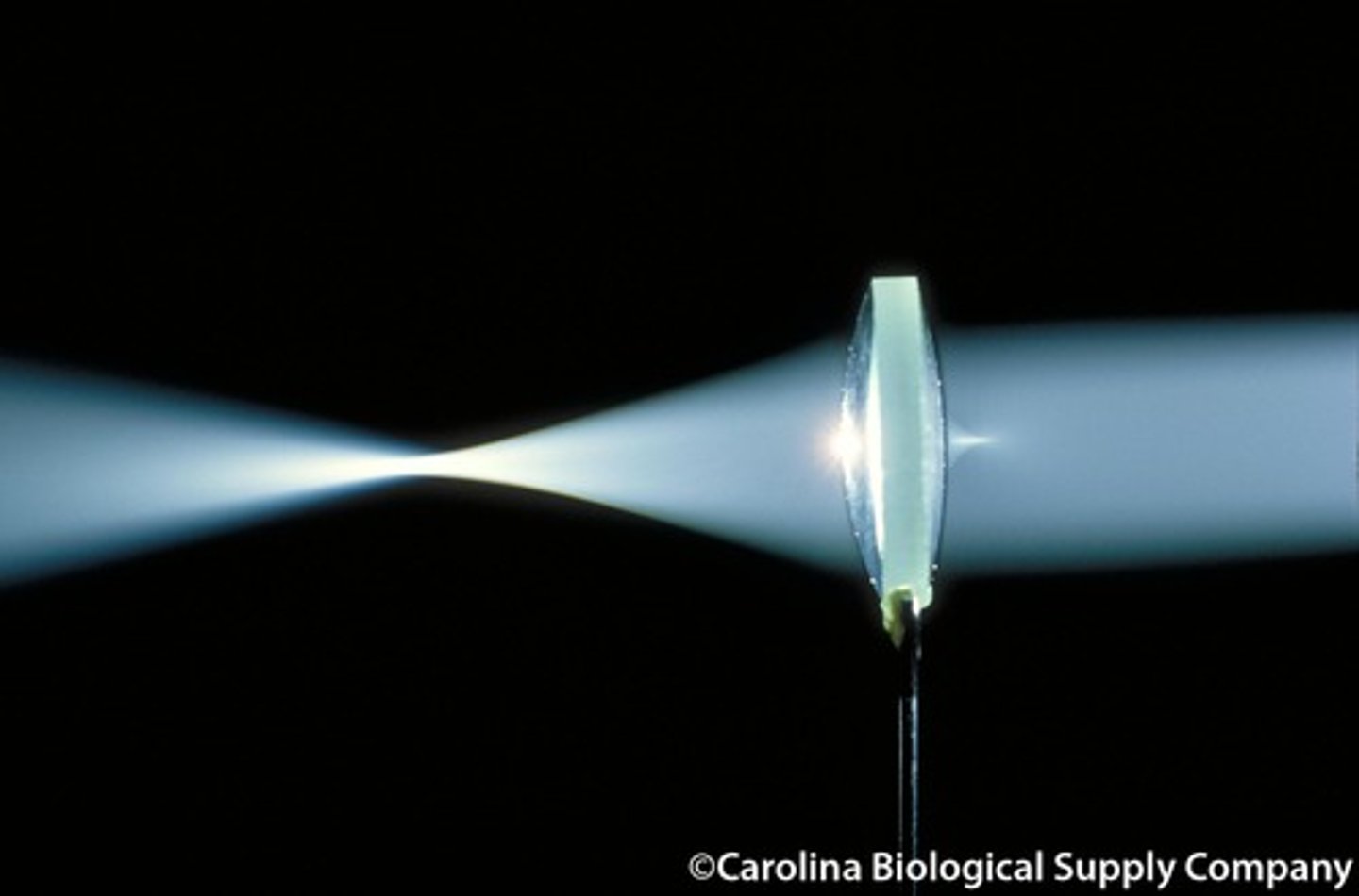 <p>a lens that is curved inward; bends light outward</p>