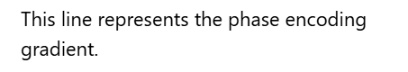<p>C. Phase encoding gradient</p>