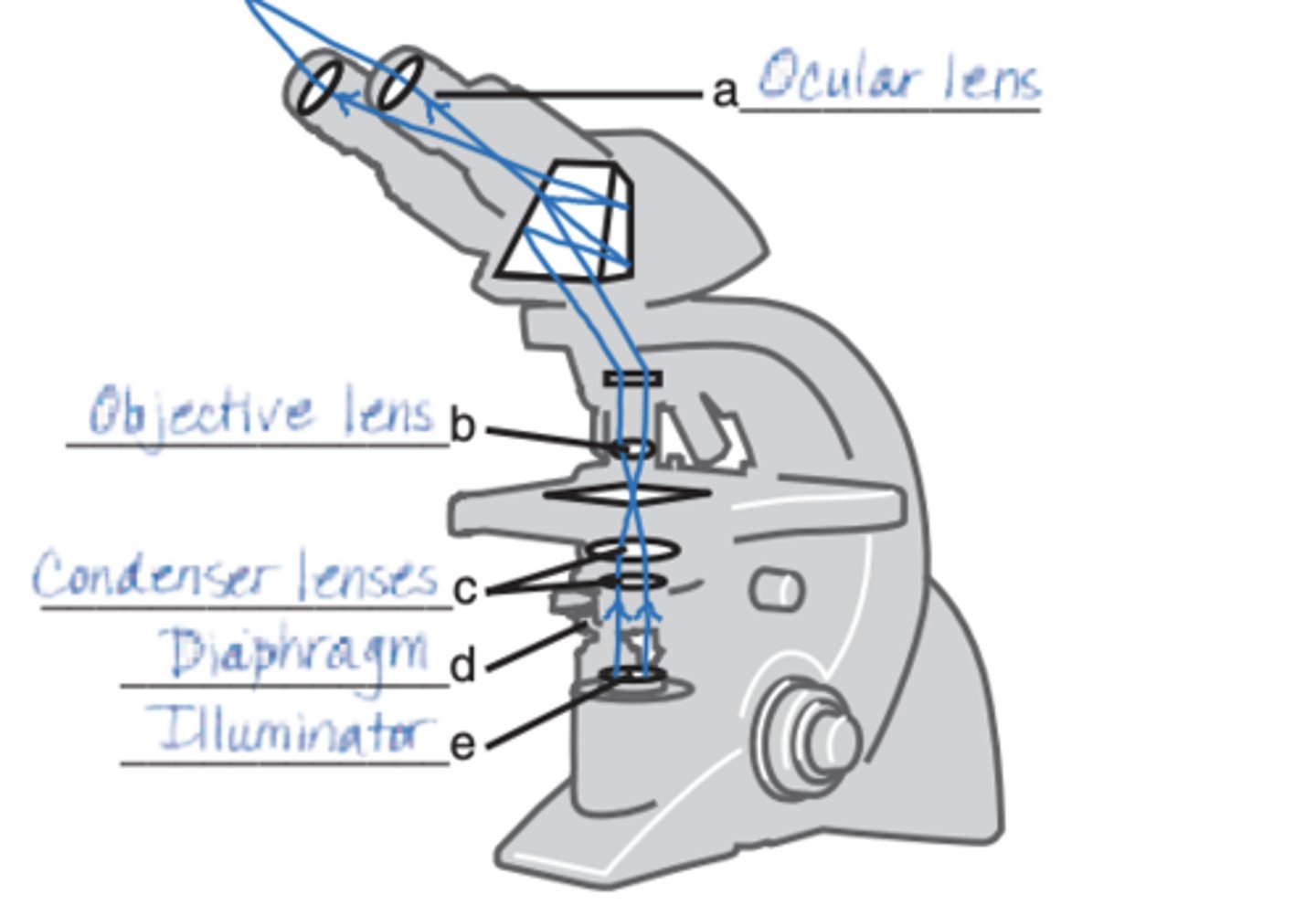 knowt flashcard image