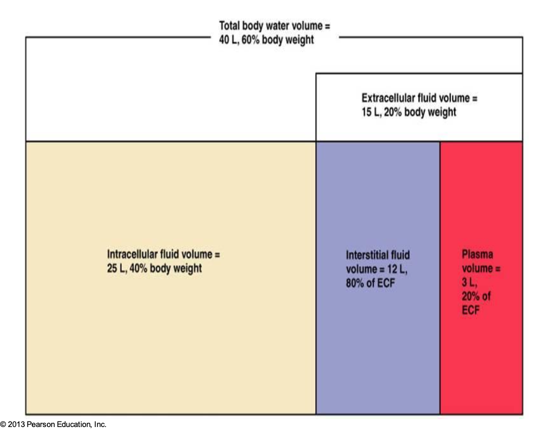 <p>What is this?</p>