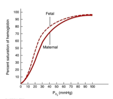 <p>what is the difference between fetal and maternal hemoglobin?</p>
