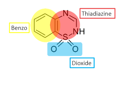 <ol><li><p>benzo ring</p></li><li><p>dioxide</p></li><li><p>thiadiazine</p></li></ol>