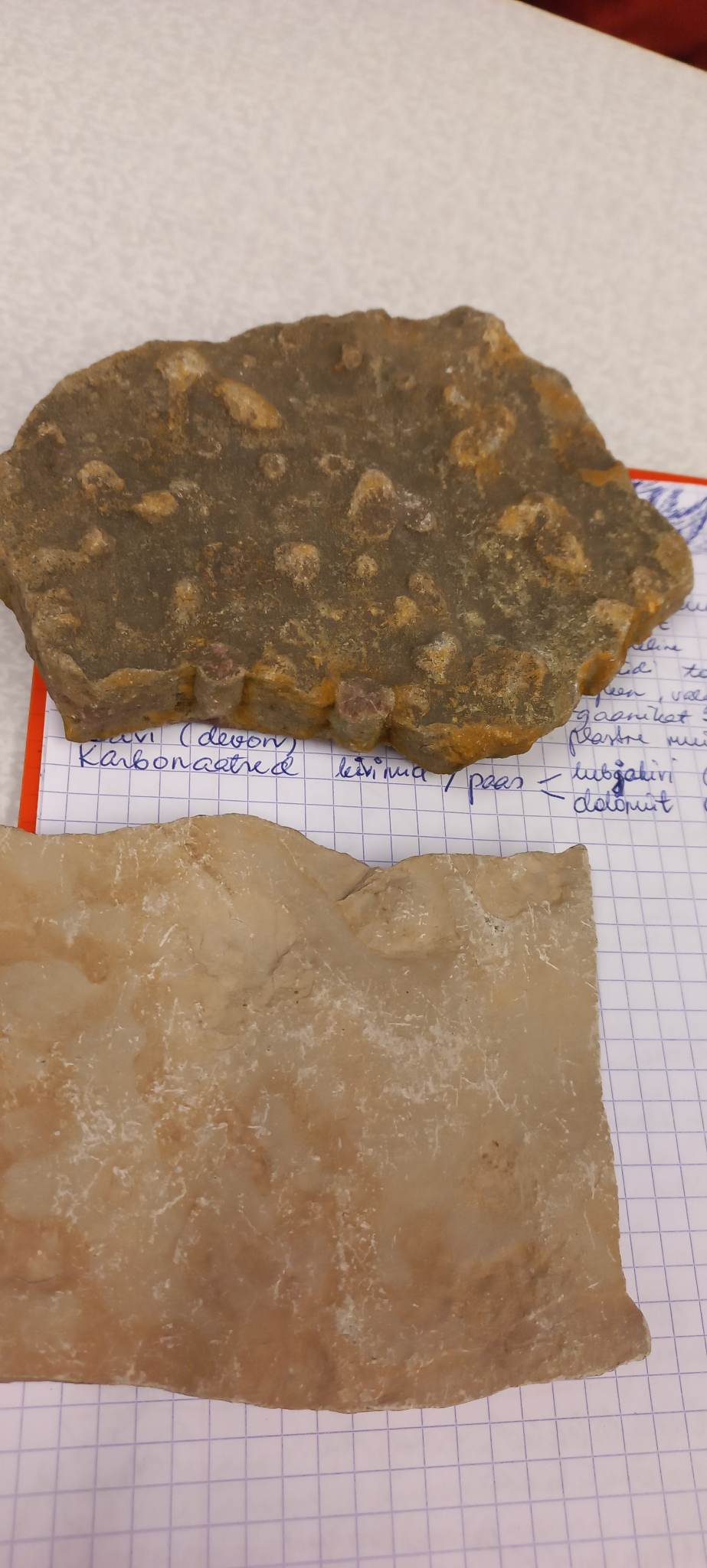 knowt flashcard image