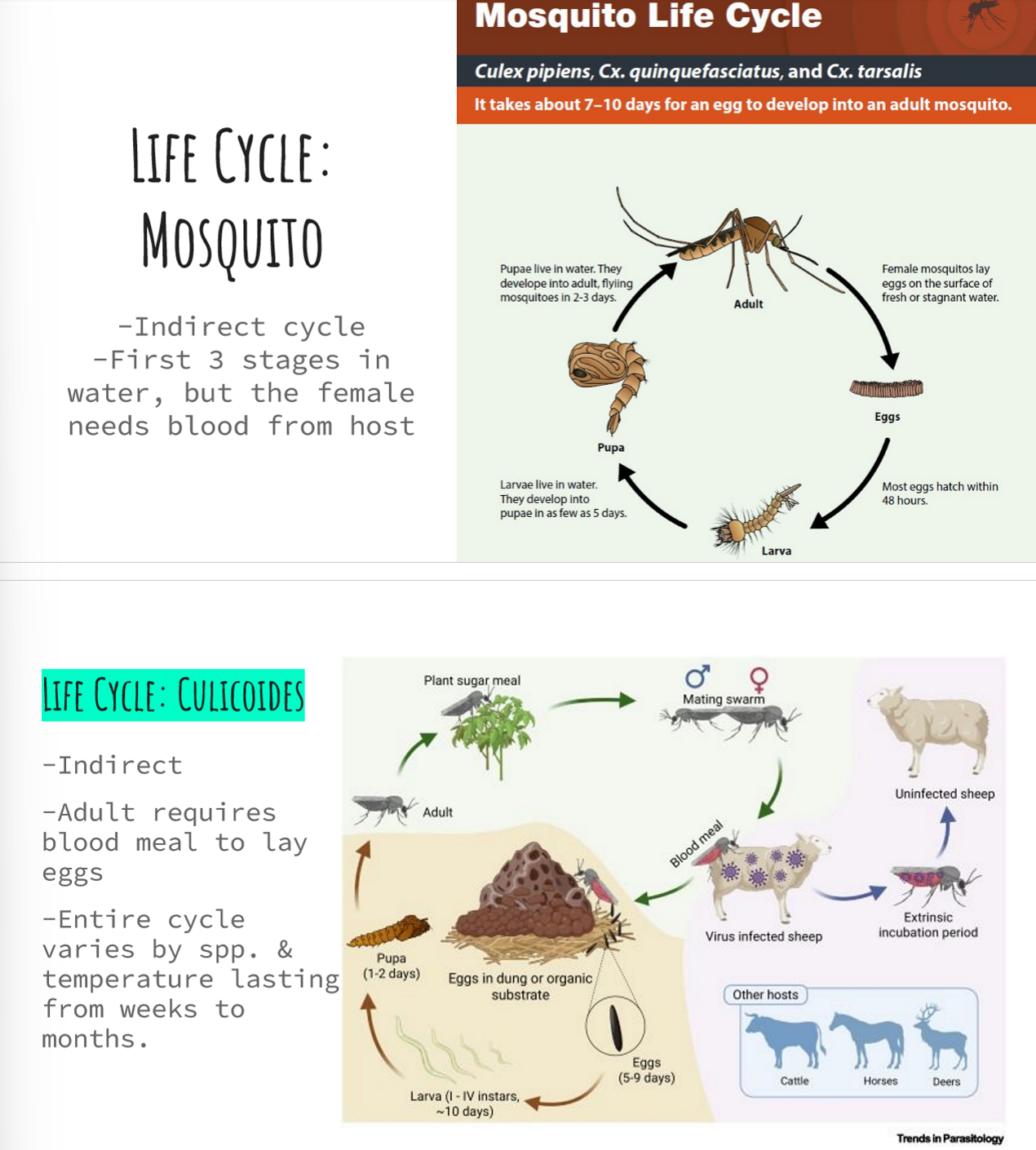 <p>indirect </p><p>eliminate breeding sites (e.g. manure, clean waterers), physical traps/barriers (e.g. screens, fans), use insecticide sprays, rotate chemicals to prevent resistance, fly masks</p>