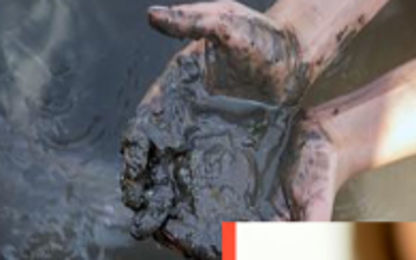 <p><strong>Identify what kind of heterogenous mixture:</strong></p><p></p><p>Muddy water</p>