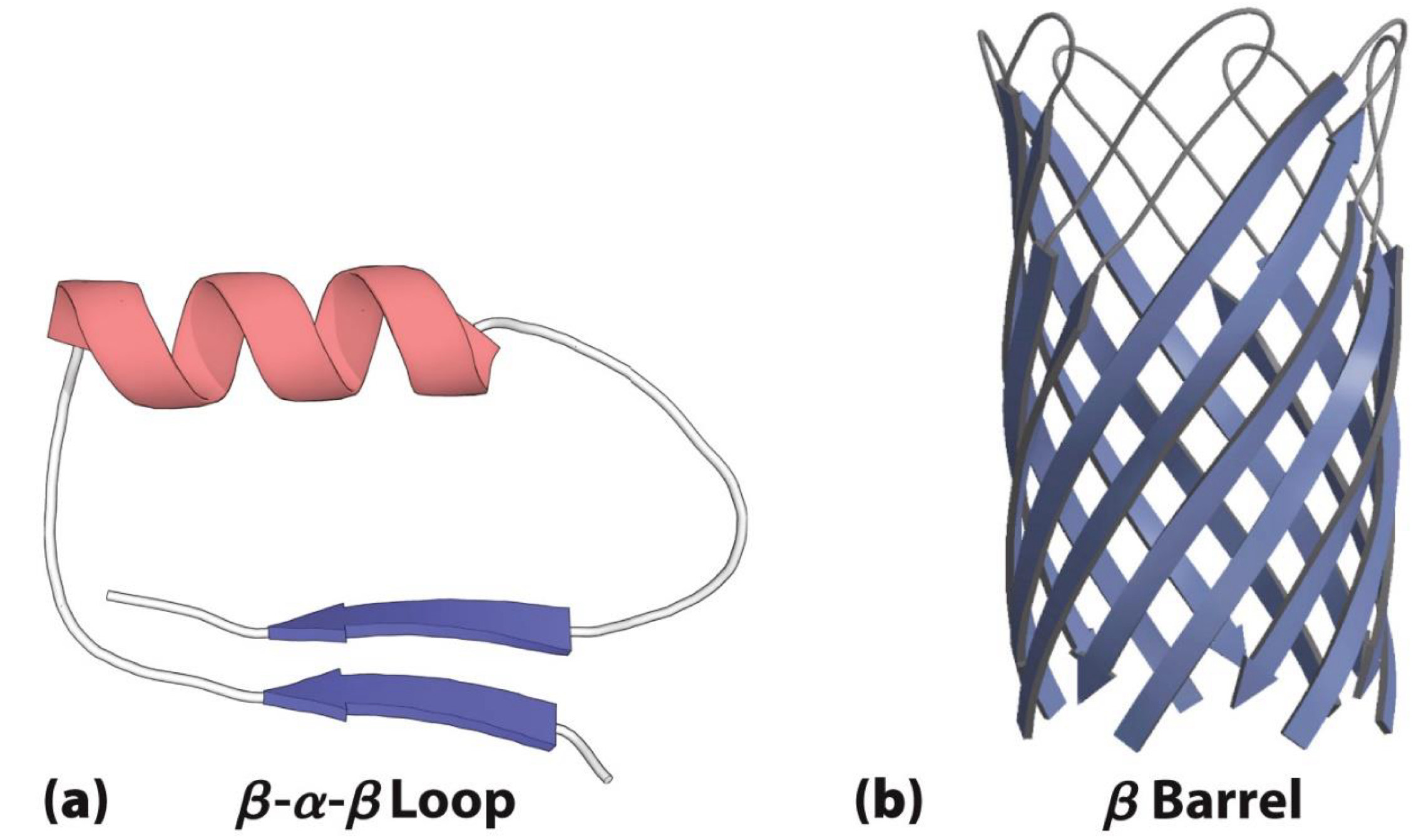 <p>not as ordered as fibrous</p><p>ex. myoglobin</p><p><span>Often made up of motifs</span><br>- <span>Contain two or more elements of secondary structure</span></p><ul><li><p>Beta-Alpha-Beta loop and Beta barrel</p></li></ul><p><span>Often have multiple domains</span><br>- <span>Single entities that are stable when separated from each other</span></p>