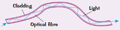 <ul><li><p>Made of <strong>plastic/glass</strong> and consist of <strong>central core</strong> surrounded by <strong>cladding</strong> with <strong>lower </strong>refractive index</p></li><li><p>Core of <strong>fibre</strong> is so <strong>narrow</strong> that <strong>light </strong>signals passing through it <strong>always</strong> hit core-cladding boundary at angles <strong>higher than C</strong></p></li><li><p>So light is <strong>always totally internally reflected</strong></p></li></ul>