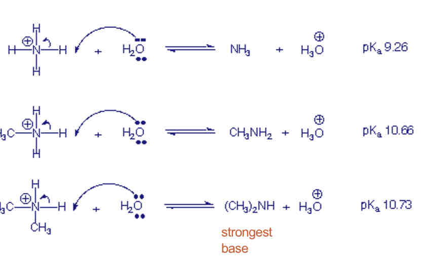 <ul><li><p>Increasing the number of alkyl groups in the cations= increase in the basicity</p></li></ul>