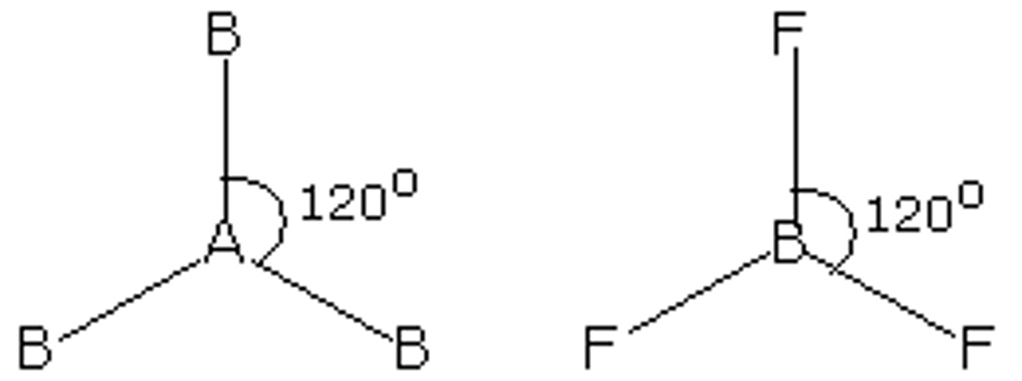 <p>- Central atom with three electron pairs<br><br>- Zero lone pairs<br><br>- sp² hybridization<br><br>- 120° bond angles<br><br>- Ex. BF₃, SO₃, NO₃⁻, CO₃²⁻</p>