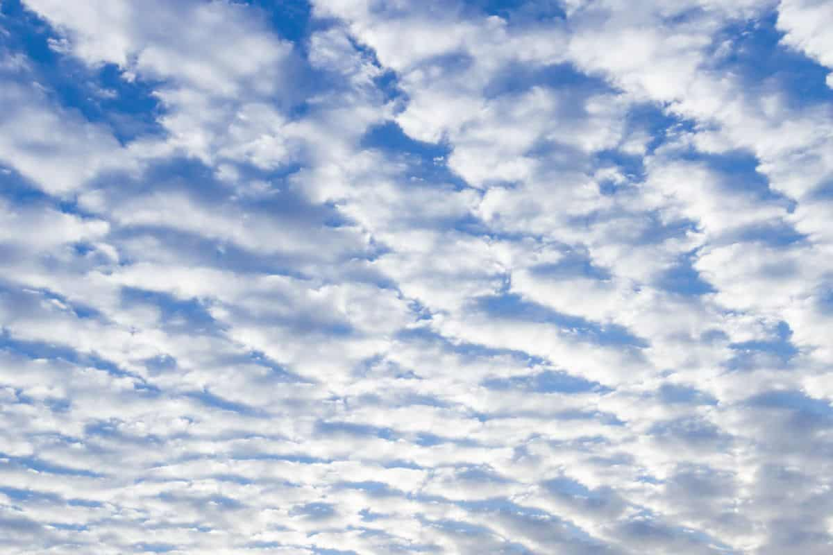 <ul><li><p>low level, uniform, continuous layer</p></li><li><p>occur in stable conditions w little vert air movement</p></li><li><p>leads to overcast skies + light drizzle </p></li></ul>